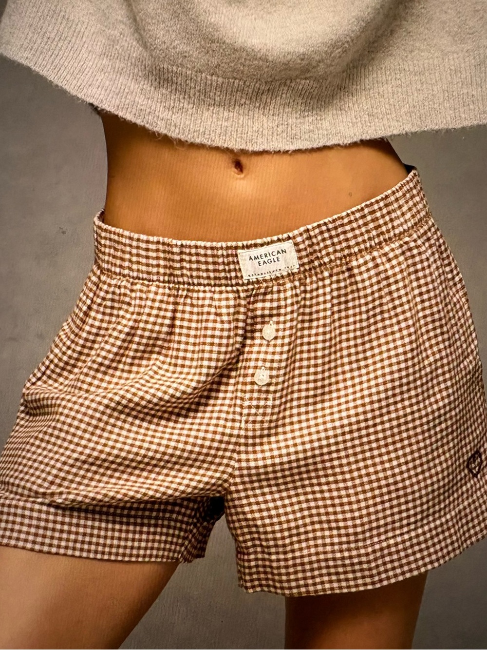American Eagle Outfitters Brown and White Gingham High Waist Shorts
